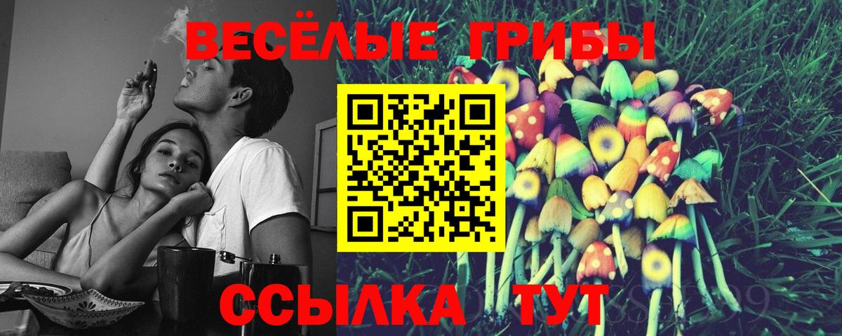 где найти наркотики  Галлюциногенные грибы Psilocybine cubensis  Вход с VPN  Череповец 